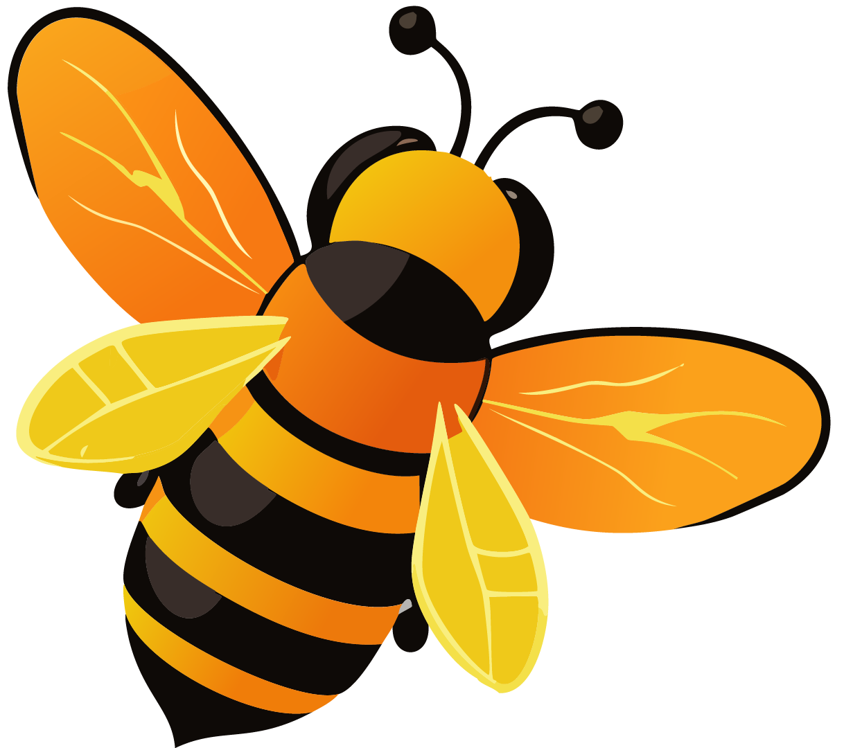 Bee