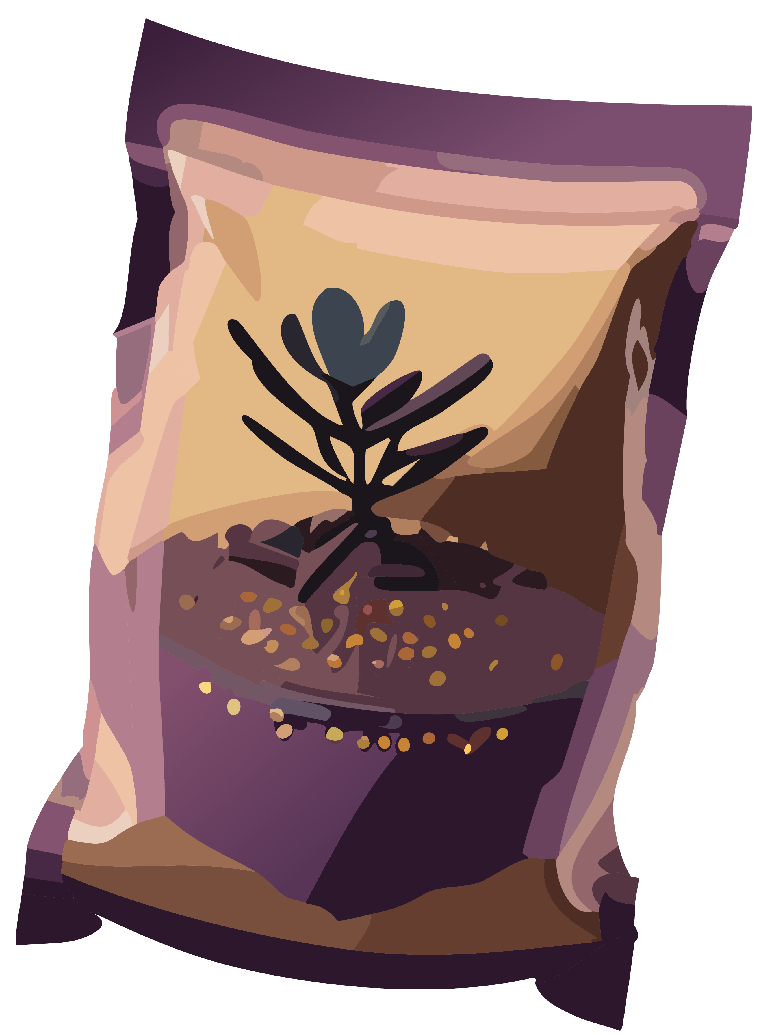 seed